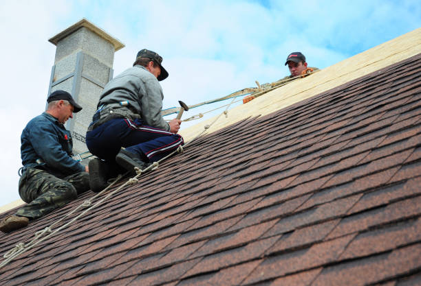 Best Roof Gutter Cleaning  in Avon, OH